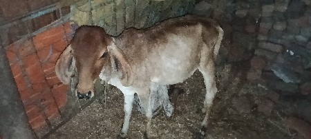 थंबनेल 3