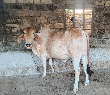 थंबनेल 2