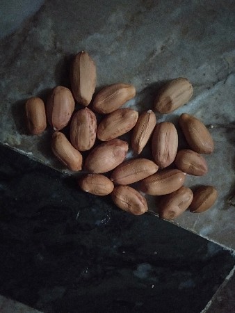 39 માંડવી