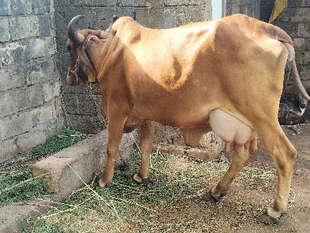 थंबनेल 2