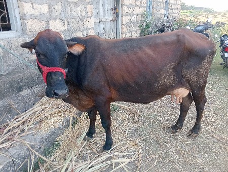 थंबनेल 2