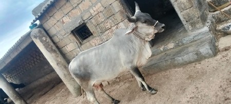 थंबनेल 3