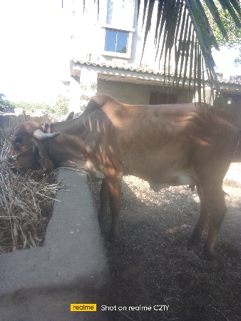 थंबनेल 3