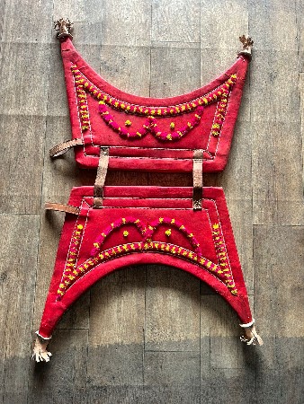 ફોગિલ