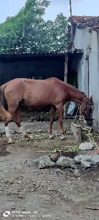 थंबनेल 2