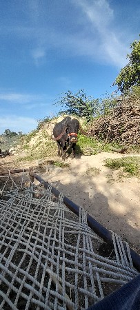 ભેસ વેસવા ની સે