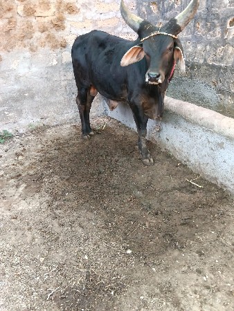 थंबनेल 3