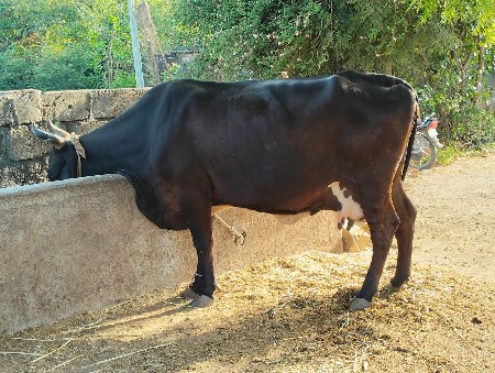 थंबनेल 2