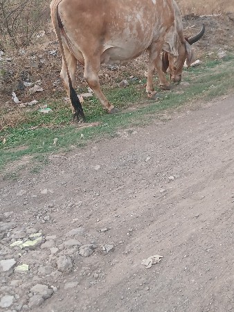 थंबनेल 2