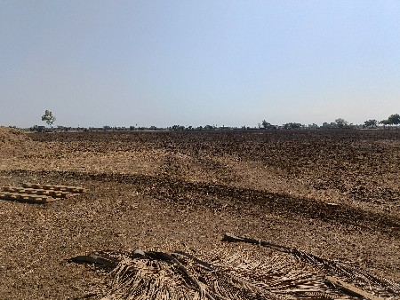 65 વીઘા જમીન વેચવાની છે,