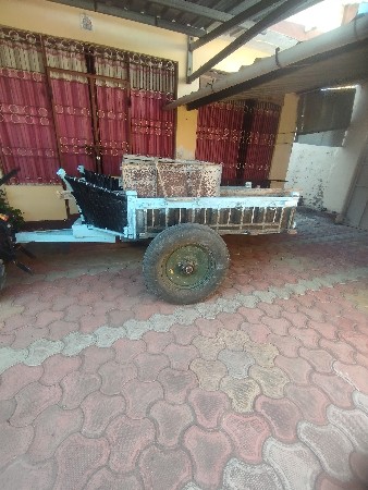 થંબનેલ 3