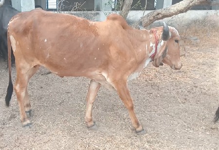 थंबनेल 2