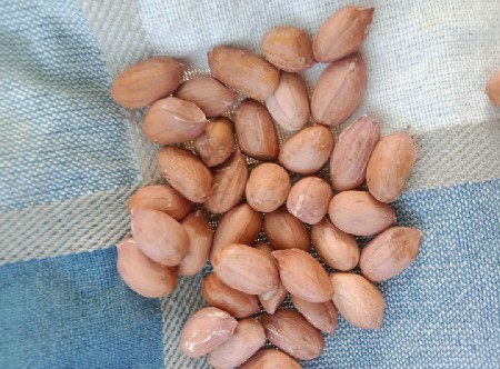 थंबनेल 3