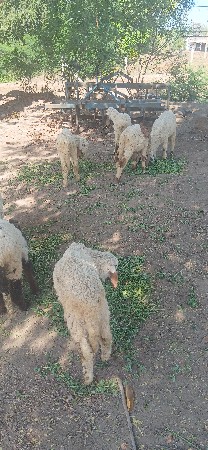 थंबनेल 2