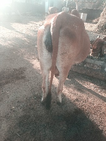 थंबनेल 2