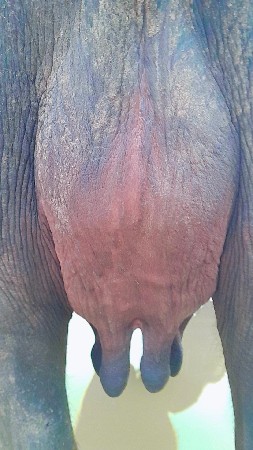 થંબનેલ 3