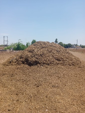 માંડવીનો પાલો વેચવાનો છે