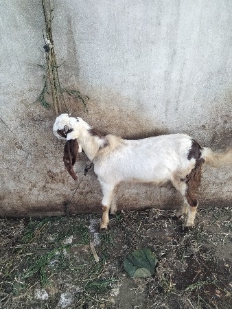 थंबनेल 3