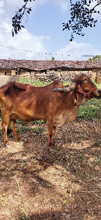 थंबनेल 3