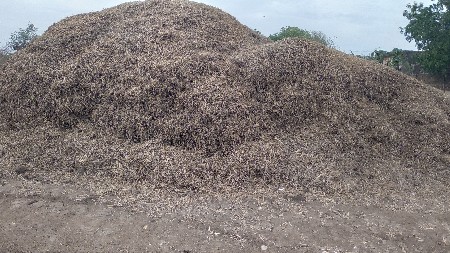 માડવી નો ભૂકો વેચવા નો છે