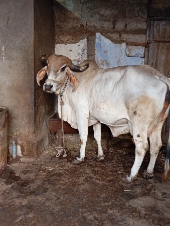 थंबनेल 2