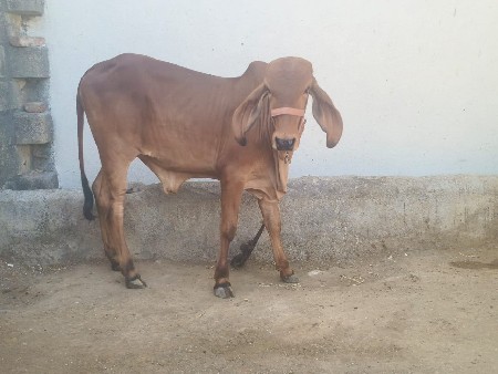 थंबनेल 2