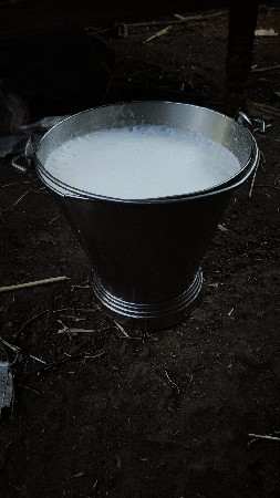 થંબનેલ 5