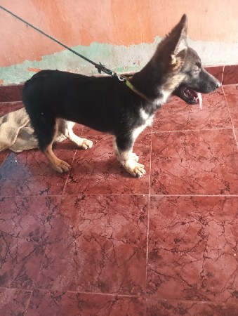 थंबनेल 3