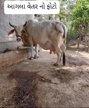 थंबनेल 3