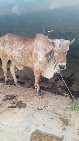 थंबनेल 2