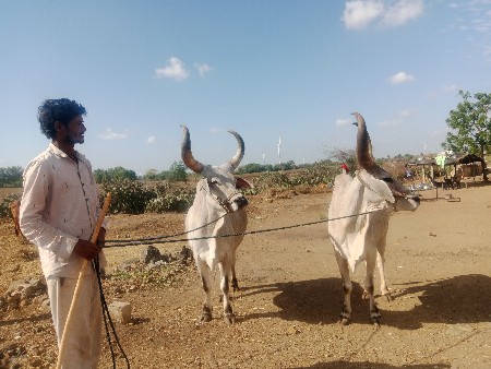 થંબનેલ 3