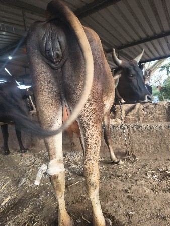 થંબનેલ 2