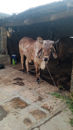 थंबनेल 3