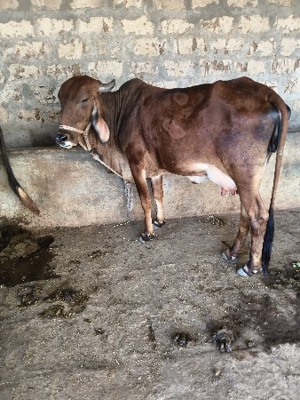 थंबनेल 5