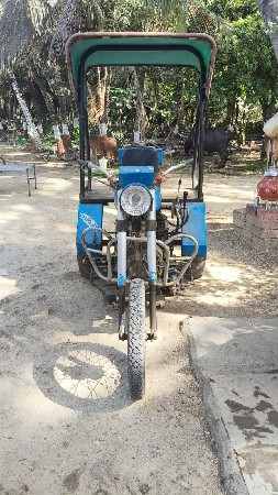 સનેડો વેચવાનો છે