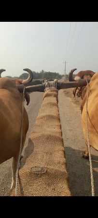 જોડી જવાબદારી થી આપવાની છે