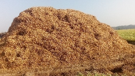 ભુકો વેચવાનોછે