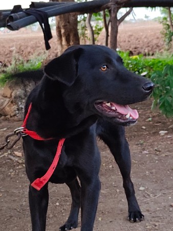 थंबनेल 2