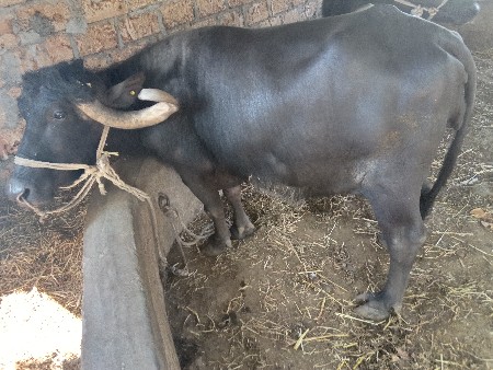 थंबनेल 3