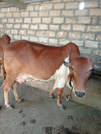 थंबनेल 2