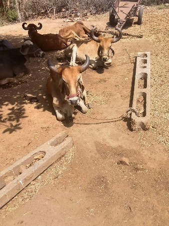 ૬૩૫૪૬ ૫૮૯૧૧