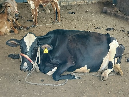 थंबनेल 2