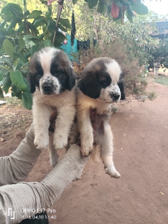 थंबनेल 2