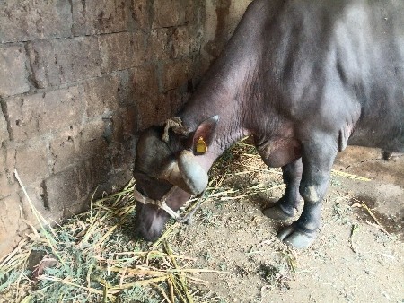 थंबनेल 3