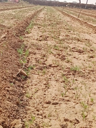 જમીન વેચવાની છે