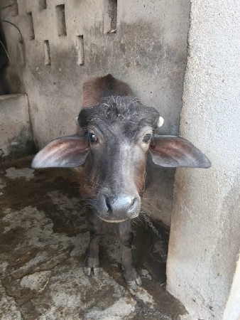 थंबनेल 2