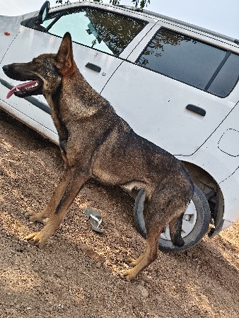 3000.  mo.9727318229