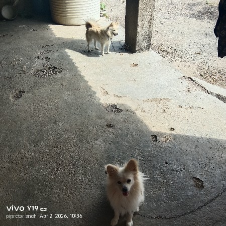 थंबनेल 3