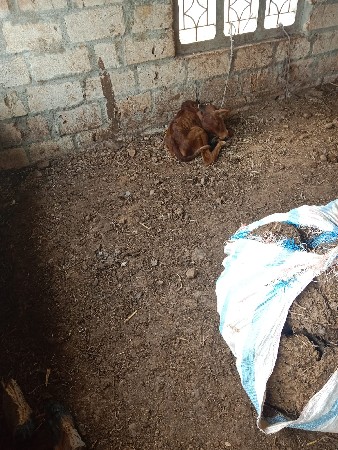 थंबनेल 3