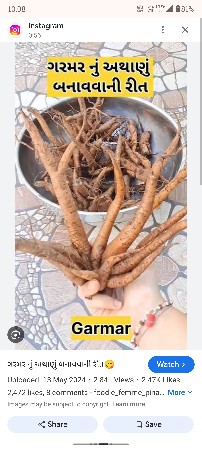 ગરમલ વેચવાની છે